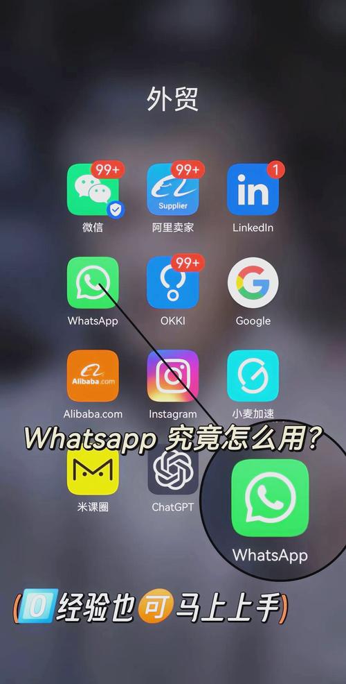WhatsApp国际版官网 - 全球沟通新体验与使用指南
