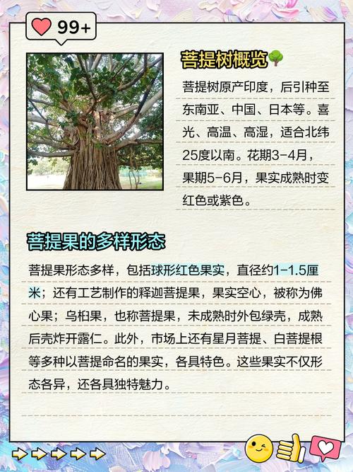 菩提树:文化象征与养护技巧解读