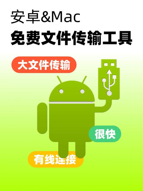 tgx安卓下载:轻松管理与分享文件的最佳工具