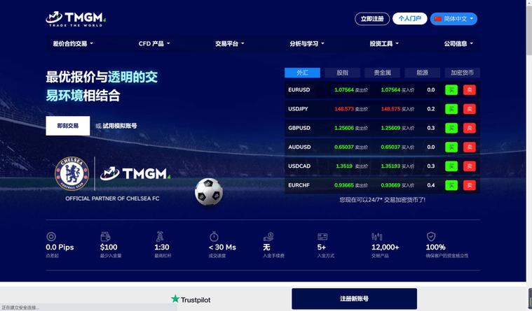 tme平台官网: tmgm平台正规吗