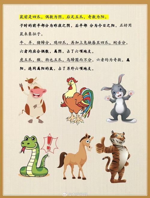 超前远见代表什么生肖动物的简单介绍