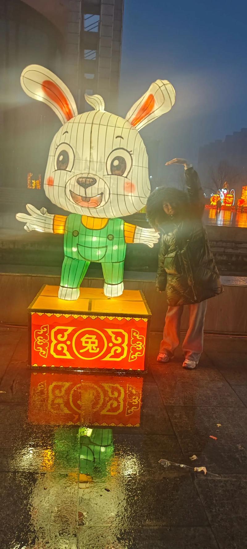 娘指什么生肖动物: 娘指什么生肖动物呢