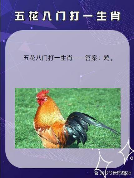 鞭辟近里打一肖: 鞭辟入里打一动物生肖
