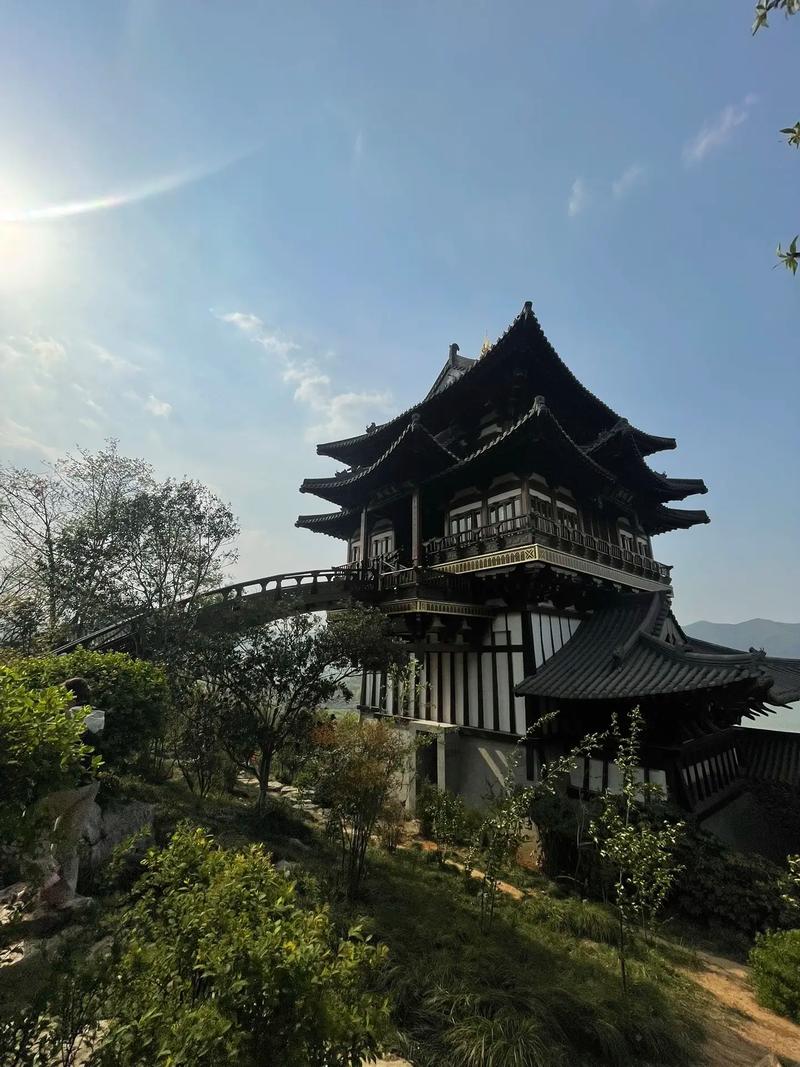 包含今日宜开心是什么意思的词条