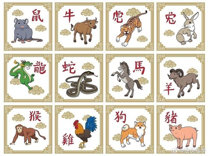 东方卫视打一准确生肖的简单介绍