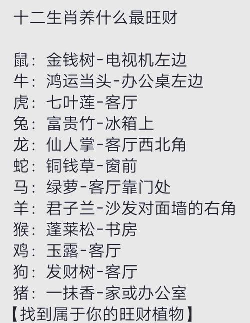 12生肖住哪层楼定发财: 十二生肖住几层楼风水最好,精选词语释义剖析