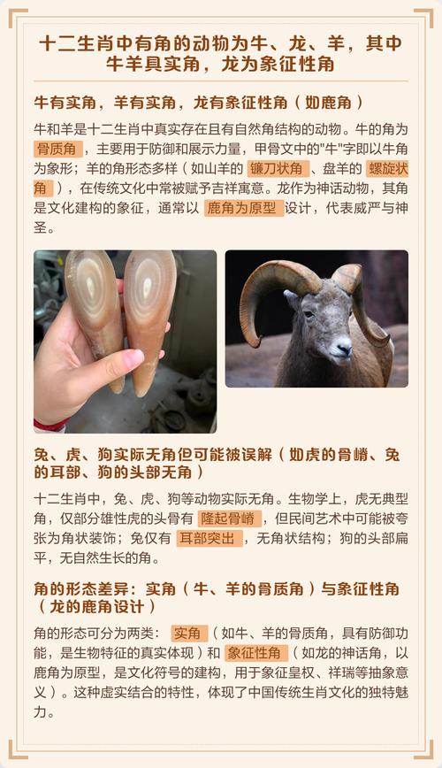 钻牛角尖什么生肖: 钻牛角尖什么生肖?,精选词语释义剖析