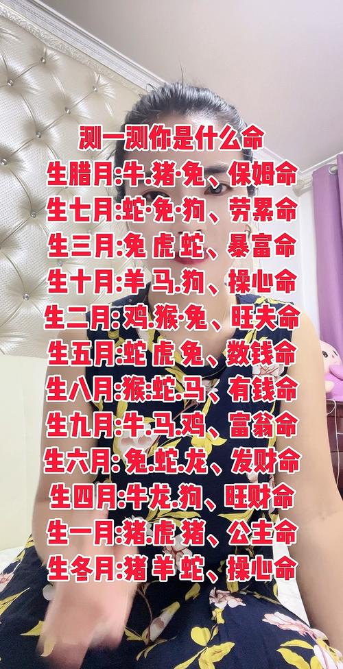 今期生肖六九加,马会选出尖嘴码: 码落五八在今期,一九有着数是什么生,精选词语释义剖析