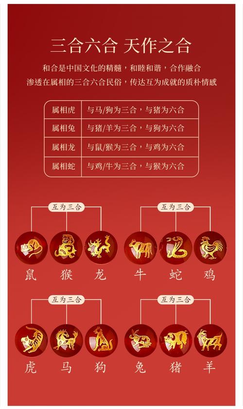 关于砗磲适合什么属相最配的信息