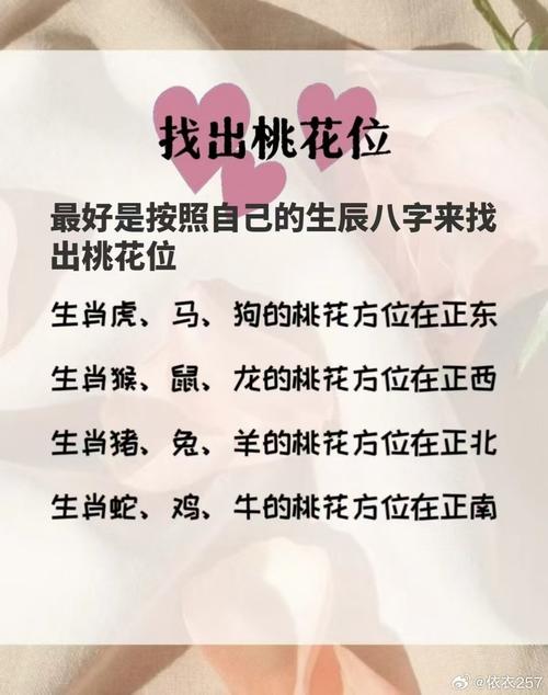 今期生肖九字开指哪个生肖: 今期生肖九字开代表一个生肖,精选词语释义剖析