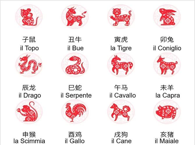 十二生肖对应那些十二星座: 十二生肖对应十二星座的木星是什么,精选词语释义剖析