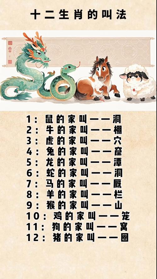 十二生肖谁是教书先生: 十二生肖谁是老师是哪个动物,精选词语释义剖析