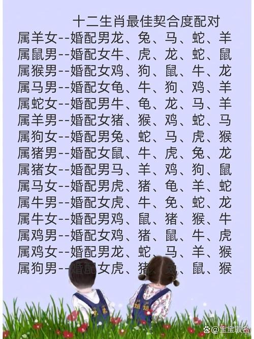 什么生肖克龙年和虎年: 什么生肖克龙年和虎年结婚,精选词语释义剖析