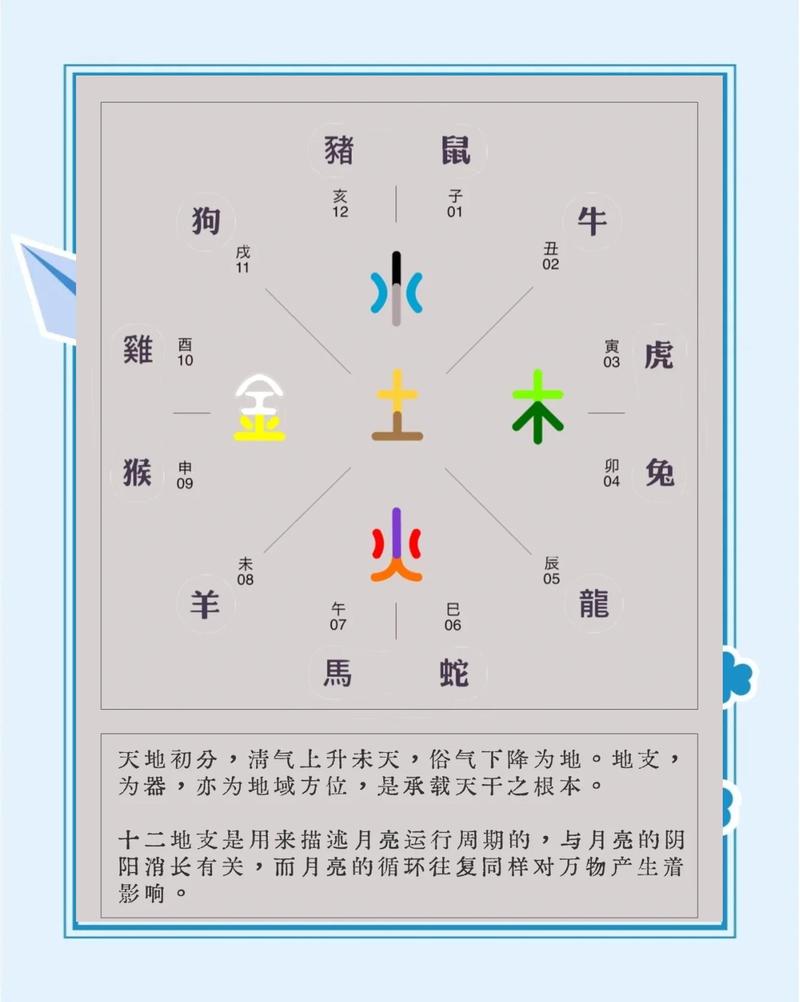 千金之交最正确生肖动物: 千金在十二生肖中指什么动物,精选词语释义剖析
