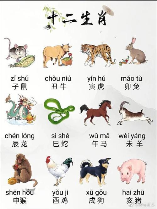 今期生肖天神力什么生肖动物: 十二生肖今期生肖天神力什么动物,精选词语释义剖析