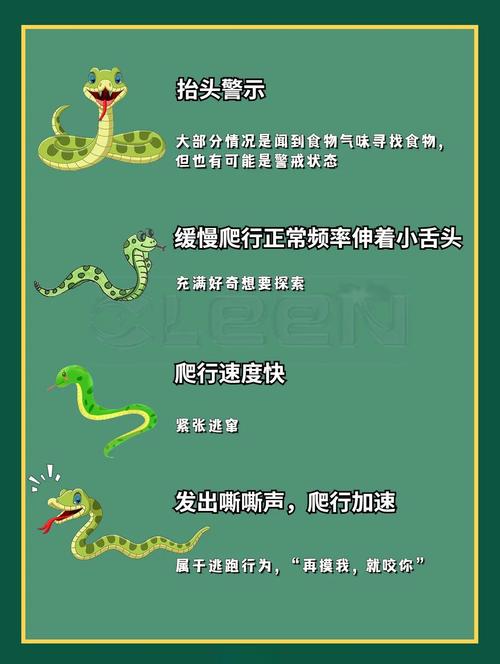 时不可逢打一生肖蛇: 时不可逢是蛇的意思吗,精选词语释义剖析