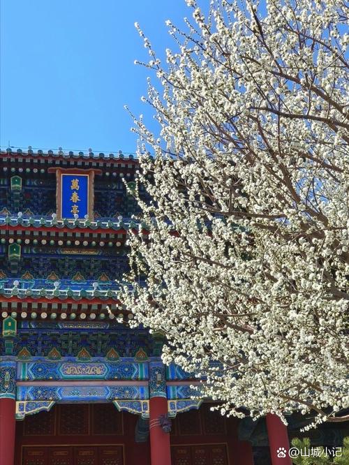 三月阳春好风光是指什么生肖: 三月阳春好风光跟哪个生肖有关系,精选词语释义剖析