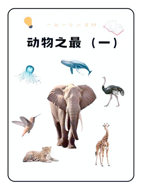 十大动物之最: 十大最稀有的动物,精选词语释义剖析