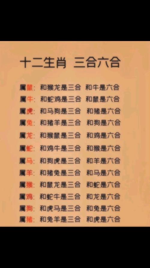 生肖一三开指什么生肖: 三三开一三合是人什么生肖,精选词语释义剖析
