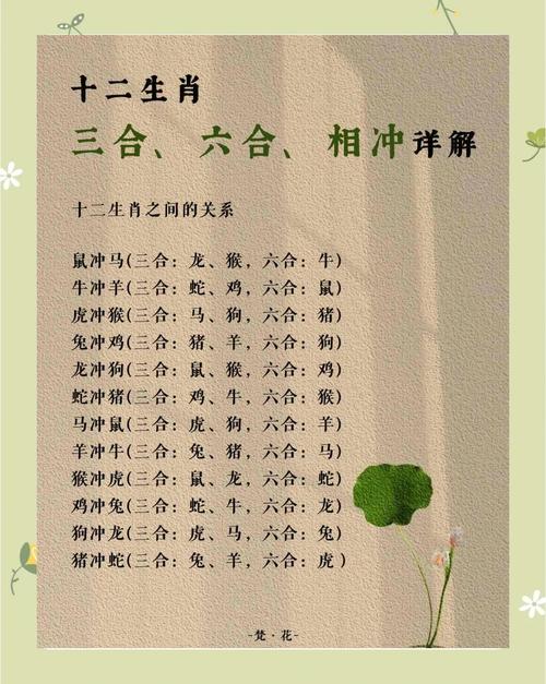 属猴相冲和相合分别是什么: 属猴的相冲相克相刑的生肖是什么,精选词语释义剖析