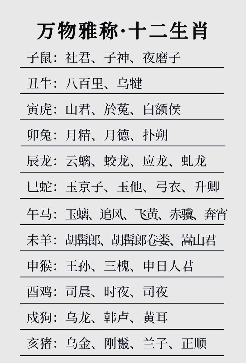 一五一尾数是什么生肖: 一五一尾数是什么生肖动物,精选词语释义剖析